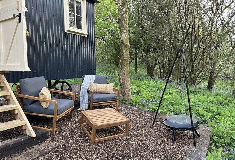 Cornwall Woodland Dog Friendly Shepherd S Hut