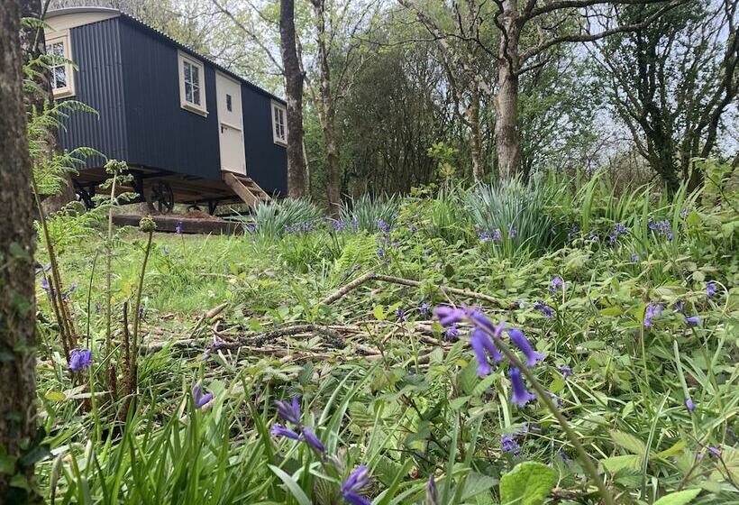 Cornwall Woodland Dog Friendly Shepherd S Hut