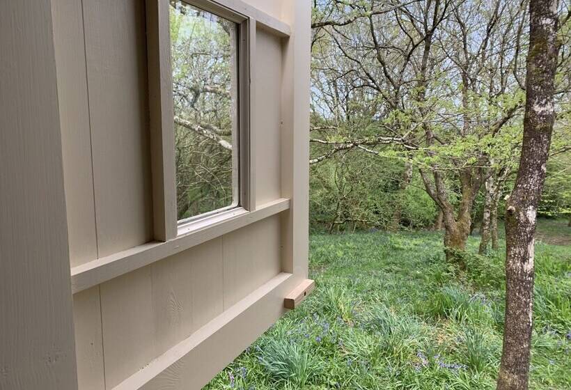 Cornwall Woodland Dog Friendly Shepherd S Hut