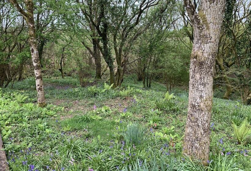 Cornwall Woodland Dog Friendly Shepherd S Hut