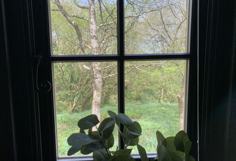 Cornwall Woodland Dog Friendly Shepherd S Hut