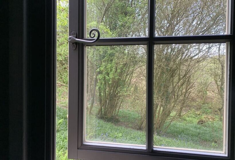 Cornwall Woodland Dog Friendly Shepherd S Hut