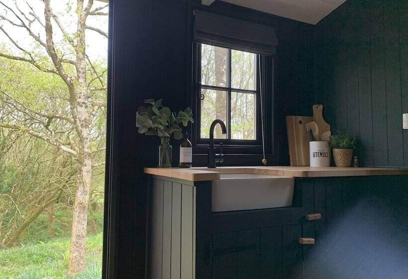 Cornwall Woodland Dog Friendly Shepherd S Hut