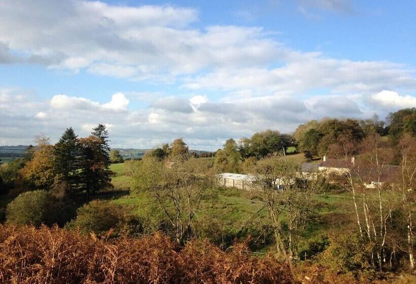 Cosy Stone Cottage On Llanllwni Mountain