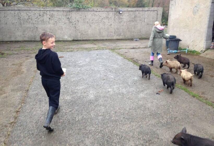 Cosy Stone Cottage On Llanllwni Mountain