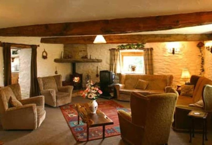 Cosy Stone Cottage On Llanllwni Mountain