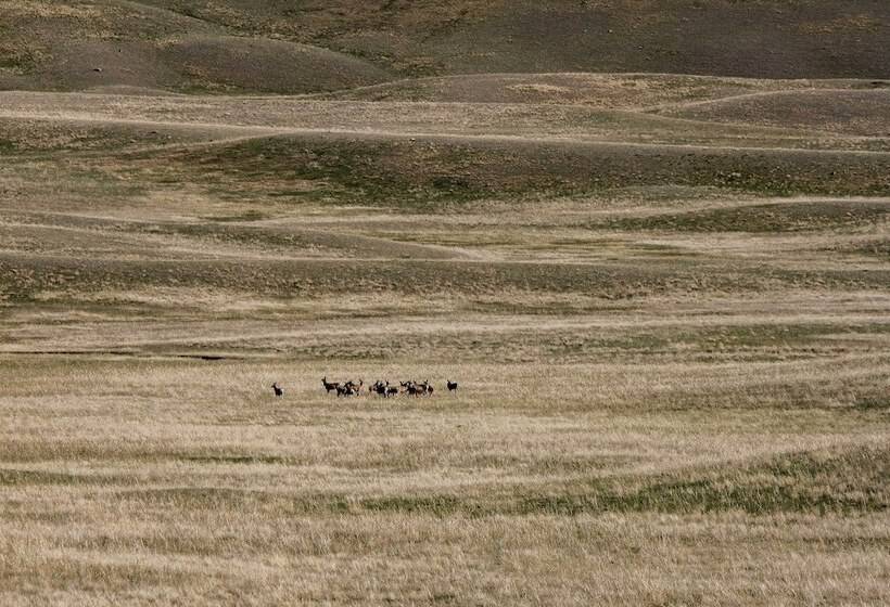 Custom Cabin Augusta Mt 360 View On Rocky Mtn Frnt