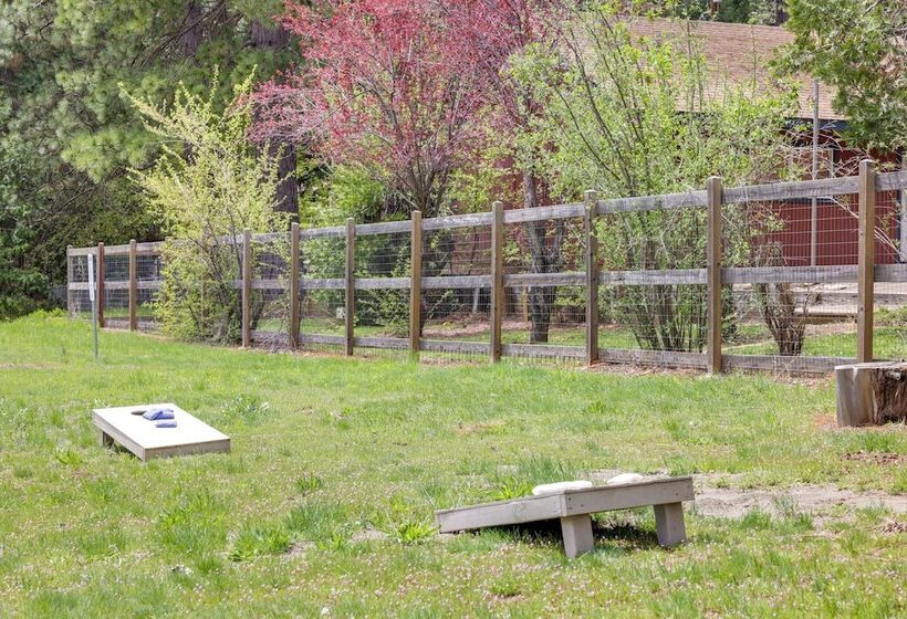 Furnished Deck & Nat L Forest Views: Arnold Cabin