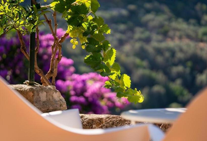 فندق Can Verdera