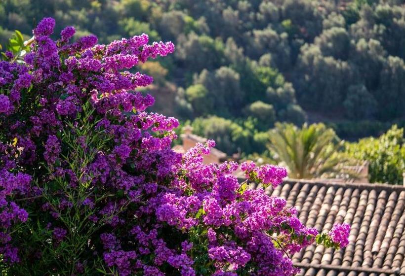 فندق Can Verdera