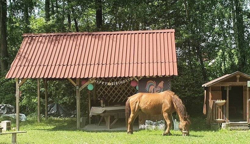 Сельский отель Agroturystyka Kurnik Polski