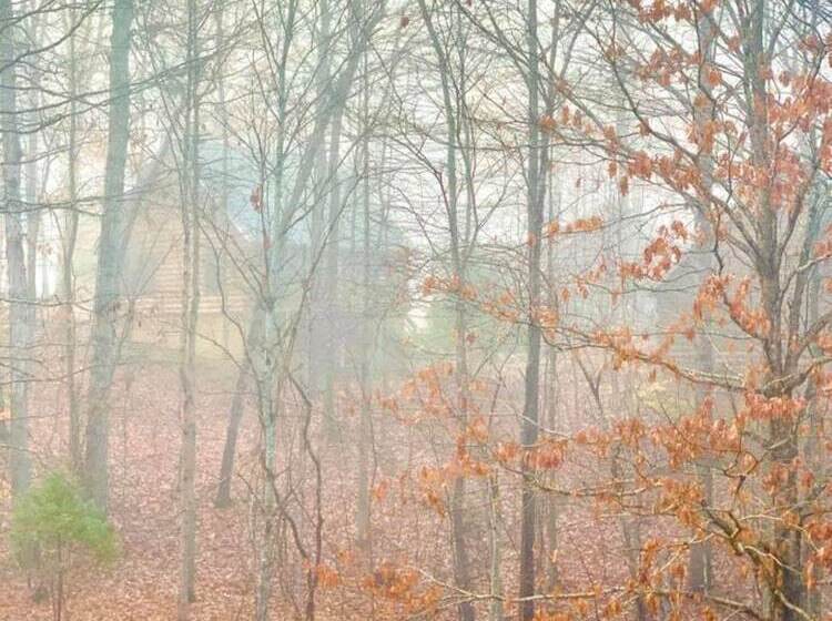 Отель Shenandoah Wilderness Traveler