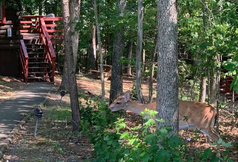 酒店 Shenandoah Wilderness Traveler