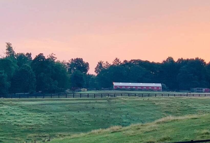 Отель Shenandoah Wilderness Traveler