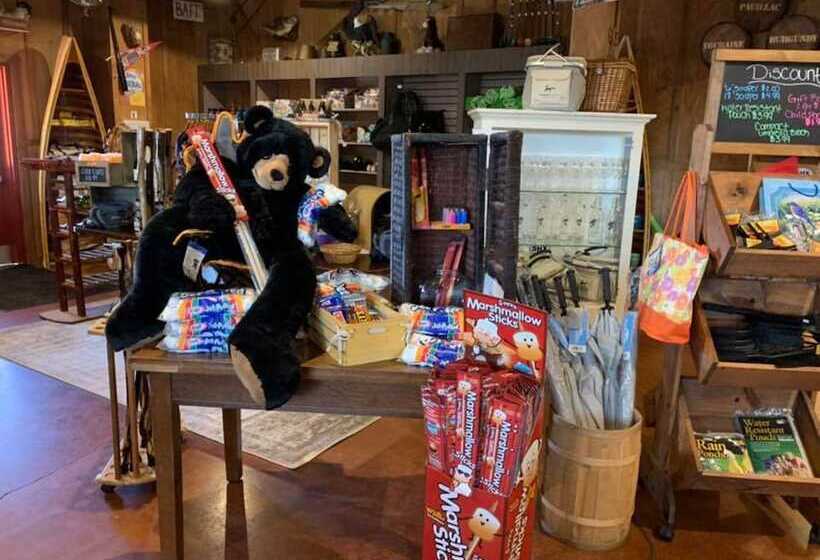 Отель Shenandoah Wilderness Traveler