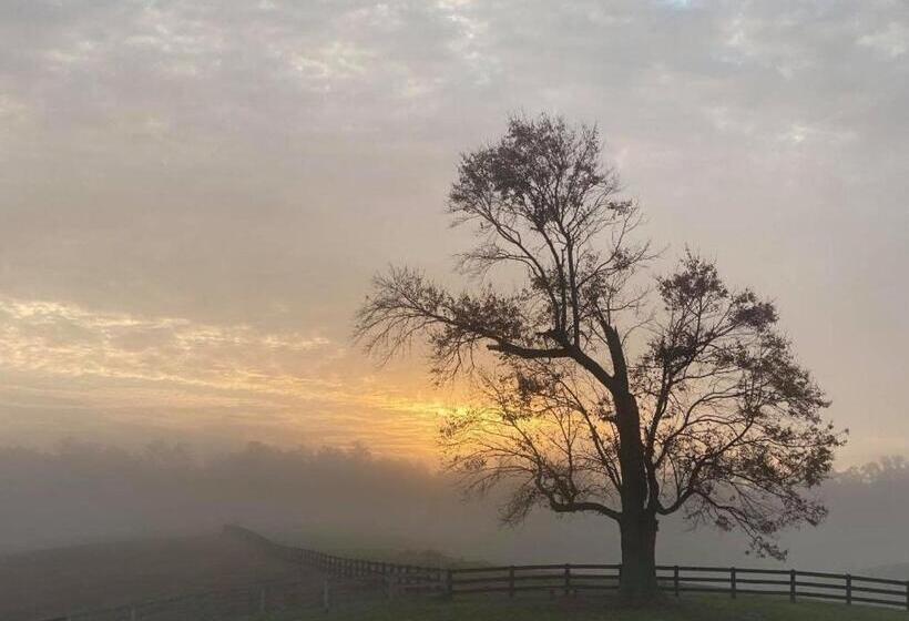 Отель Shenandoah Wilderness Traveler