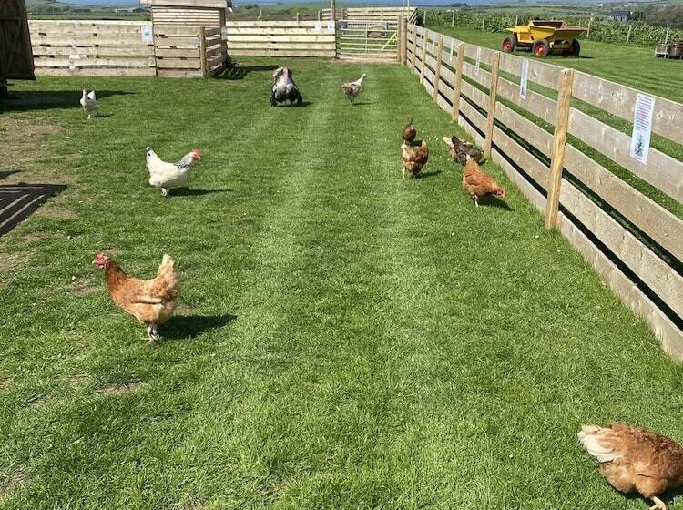 Inviting 2 Bed Camper In Holyhead