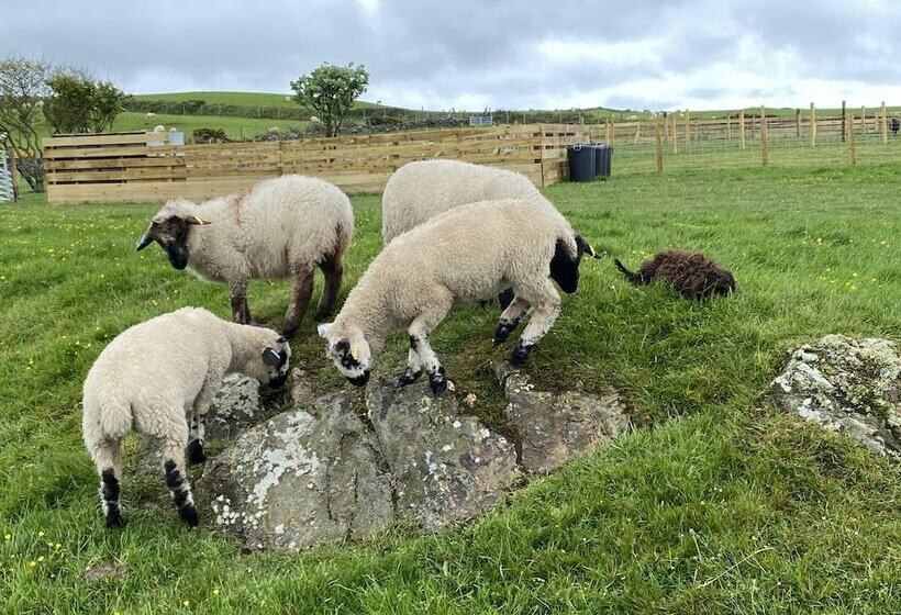 Inviting 2 Bed Camper In Holyhead