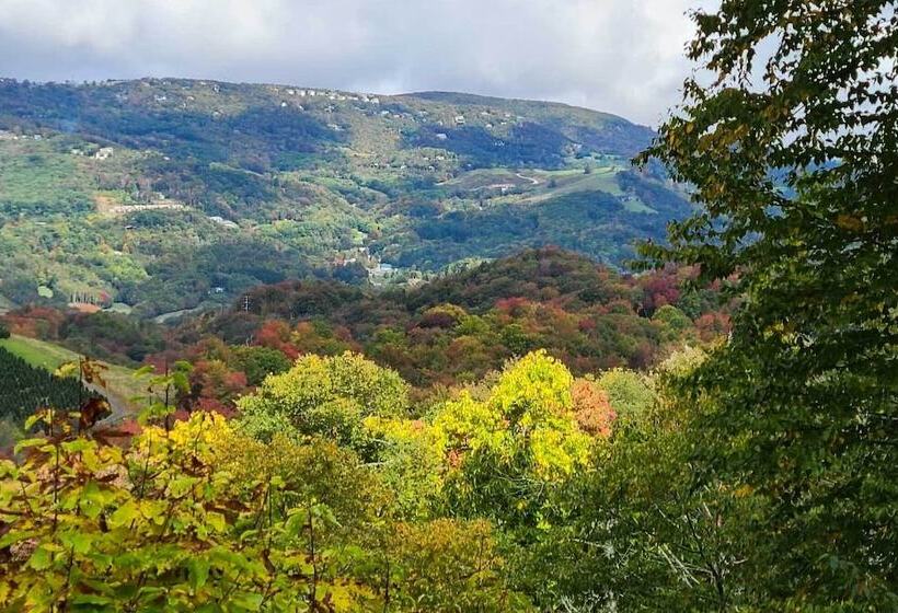 Near Ski Areas: Mtn View Banner Elk Cabin