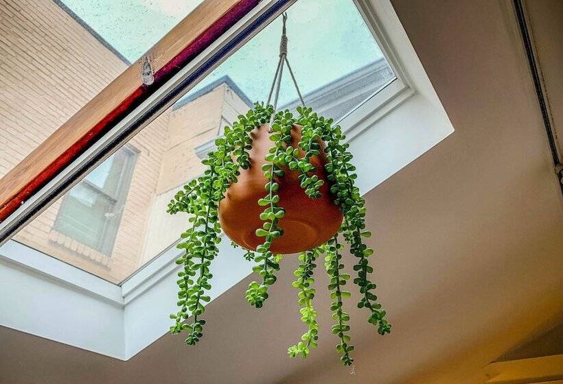 Quirky Downtown Loft