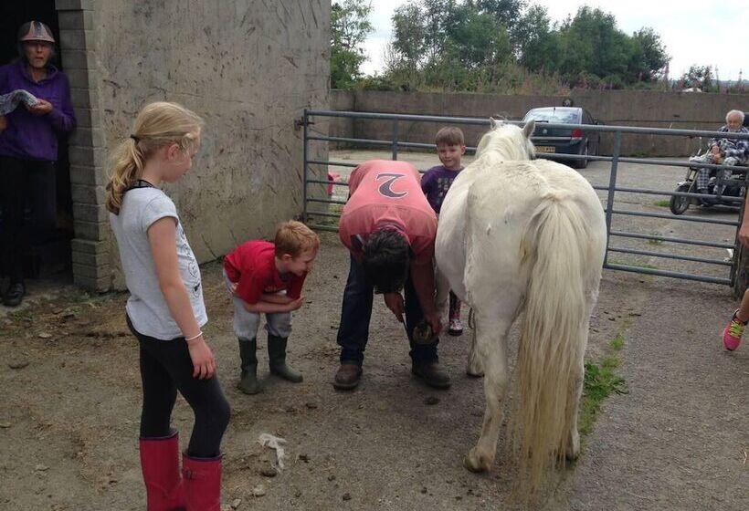 Relax In Sunset View Cottage On Cwmiar Farm