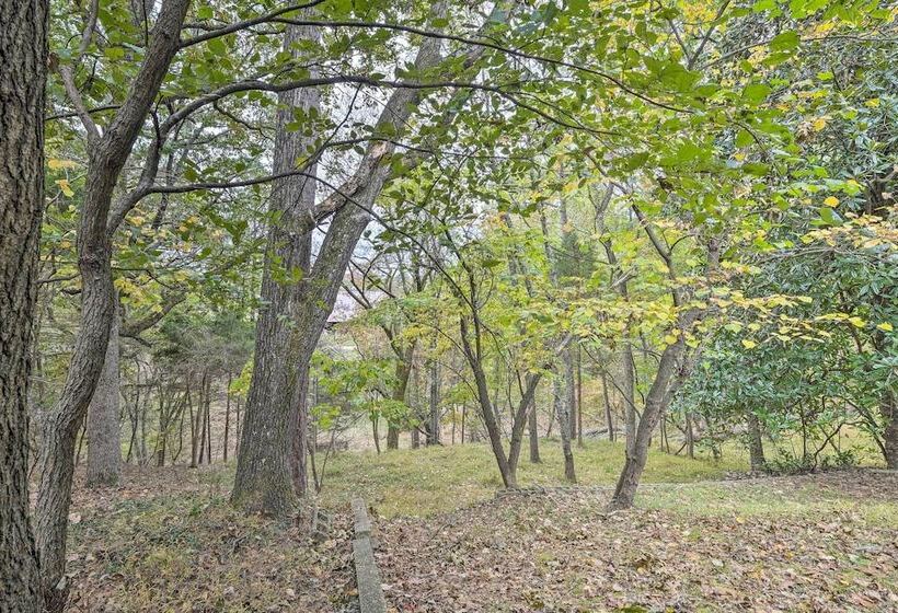 Renovated Eureka Springs Home   1 Mi To Downtown!