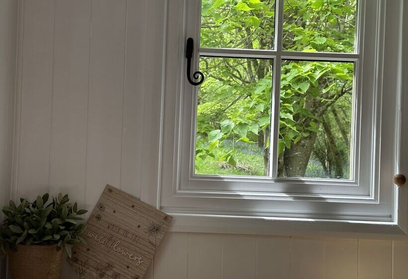 레지던스 Cornwall Woodland Dog Friendly Shepherd S Hut