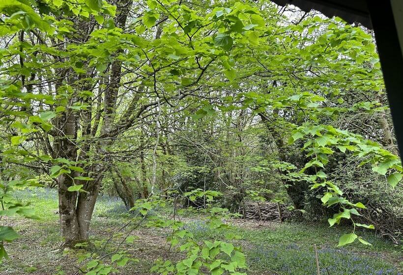 레지던스 Cornwall Woodland Dog Friendly Shepherd S Hut