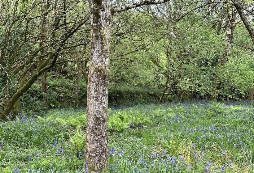 레지던스 Cornwall Woodland Dog Friendly Shepherd S Hut