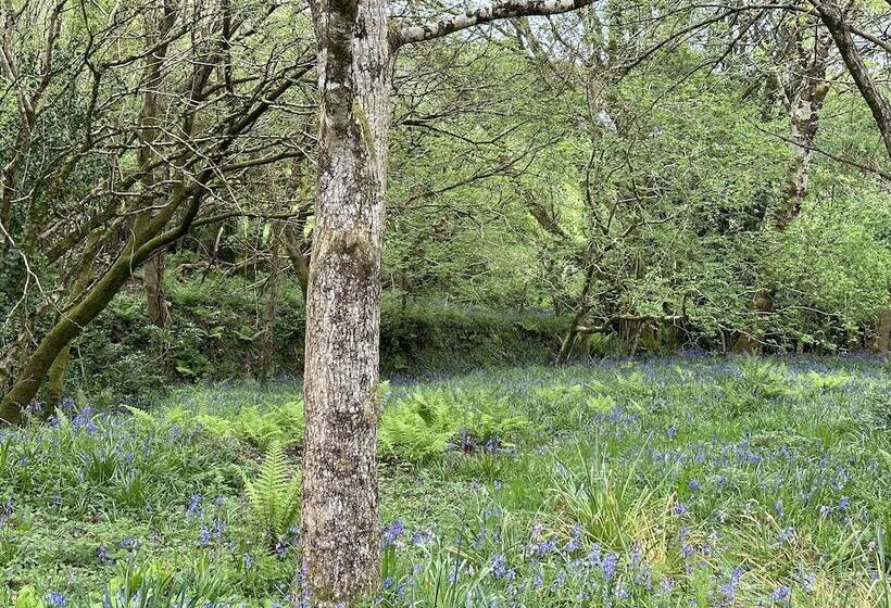 레지던스 Cornwall Woodland Dog Friendly Shepherd S Hut