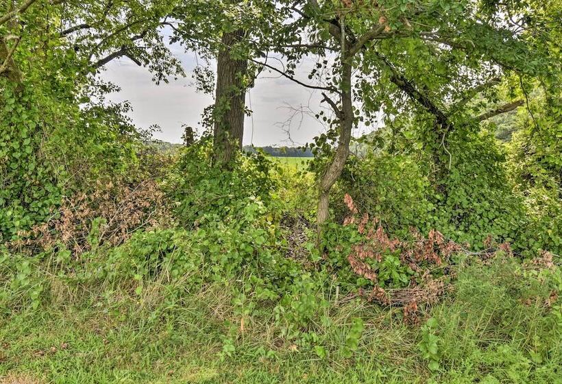 Pet Friendly Woodsy Gem: 1/4 Mi To Chesapeake Bay