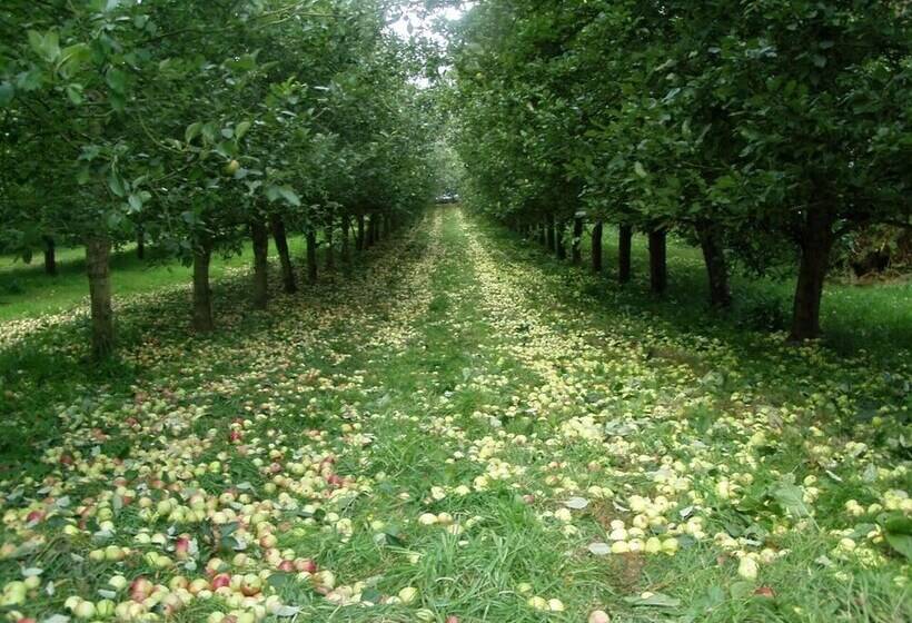 Shepherd S Hut In A Herefordshire Cider Orchard