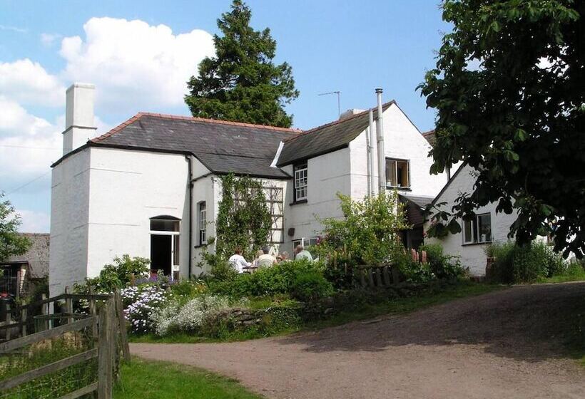 Shepherd S Hut In A Herefordshire Cider Orchard