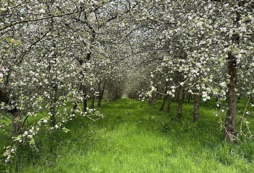 Shepherd S Hut In A Herefordshire Cider Orchard