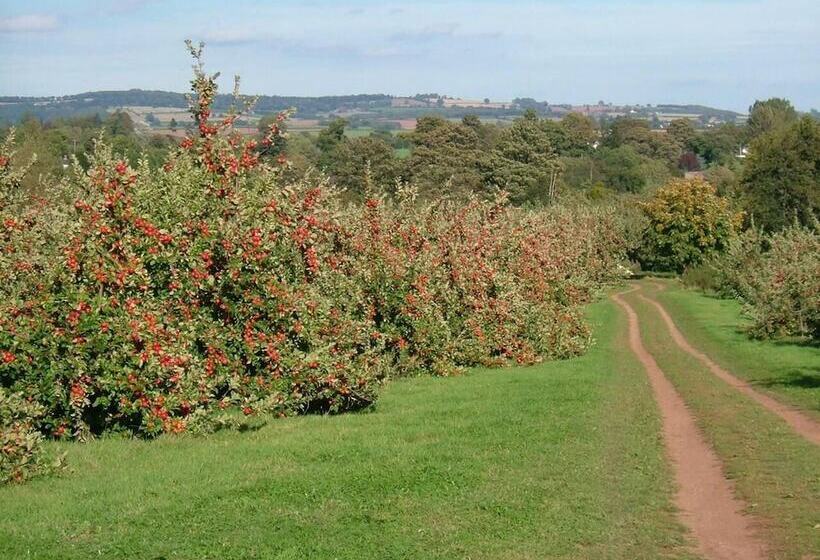 Shepherd S Hut In A Herefordshire Cider Orchard