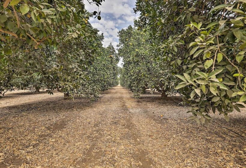 Sierra Nevada Mountain Retreat, Set On Citrus Farm