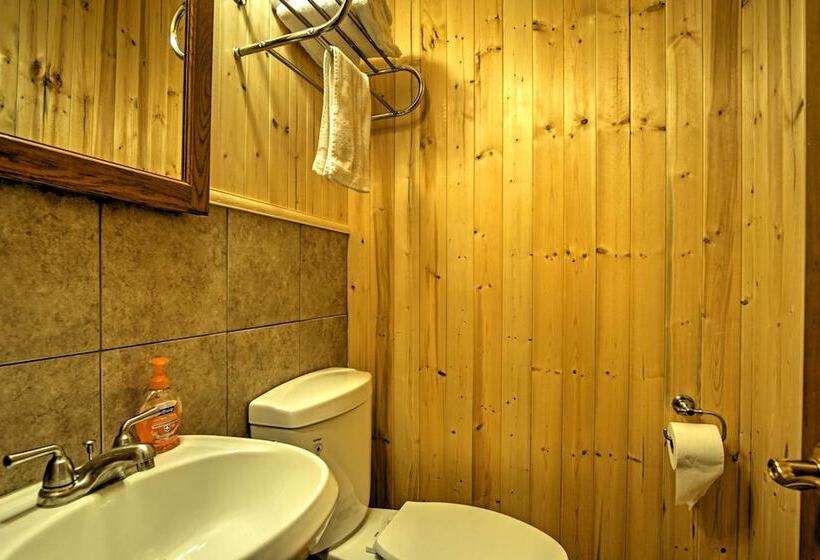 South Haven Home ~ 1 Mi To Lake Michigan!