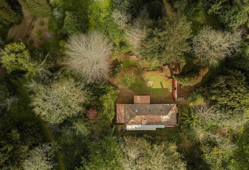 Surrounded By Nature   Casa Da Cebola