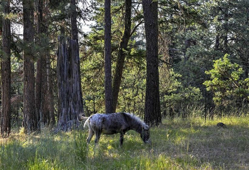 Ashland Cabin On 170 Acres W/ Mtn Views & Sauna!