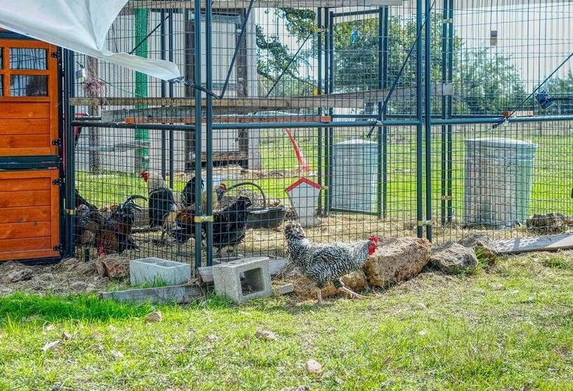 Charming Hill Country Home W/ Fire Pit & Hot Tub!