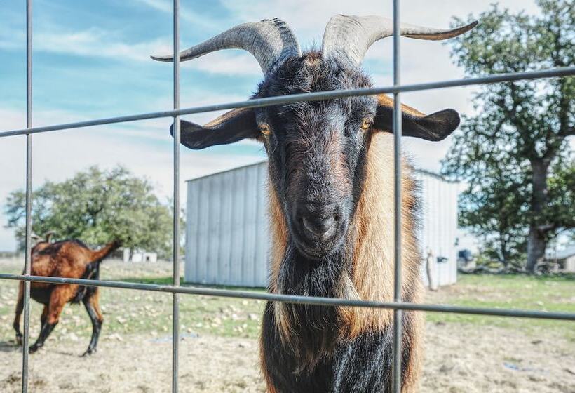 Charming Hill Country Home W/ Fire Pit & Hot Tub!