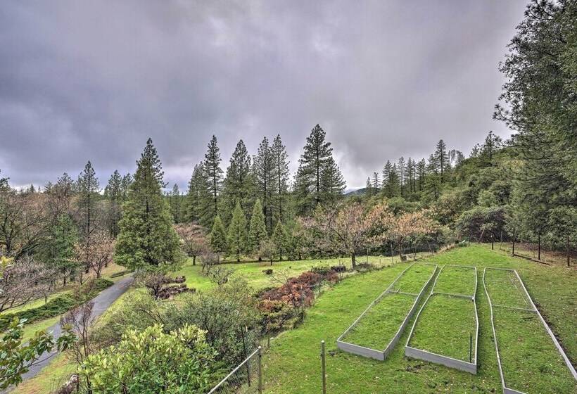 Forest View Deck + Fire Pits: Pine Grove Retreat!