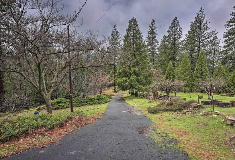 Forest View Deck + Fire Pits: Pine Grove Retreat!