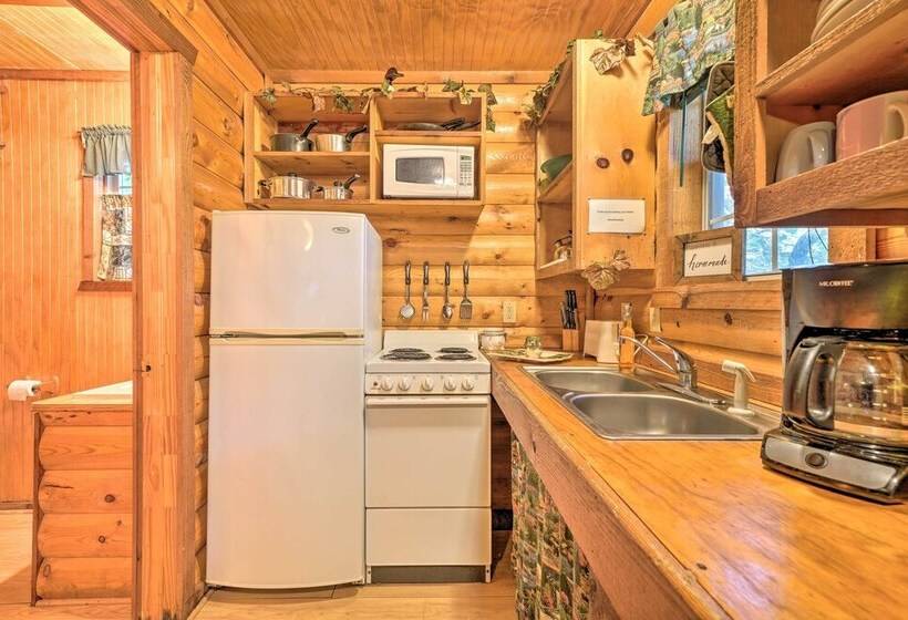 Cozy Davis Cabin W/ Deck   Nestled By Honey Creek!