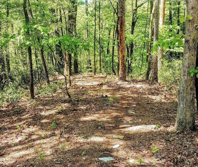 Pet Friendly Marble Cabin W/ Deck, Grill, Fire Pit
