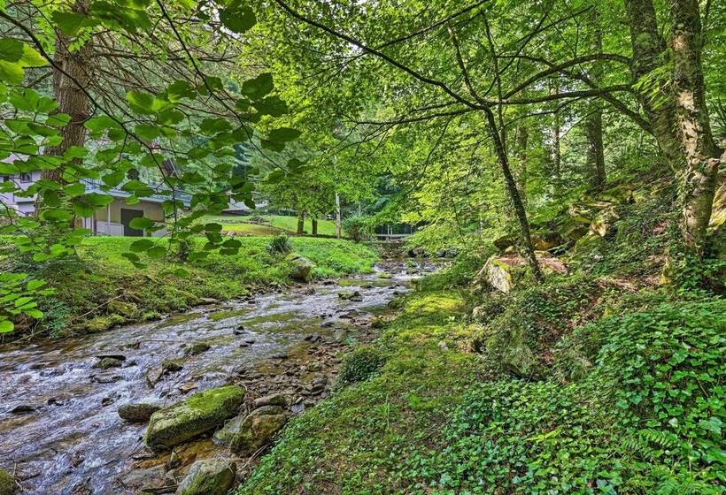 Creekside Roan Mountain Cabin: Walk To Trails