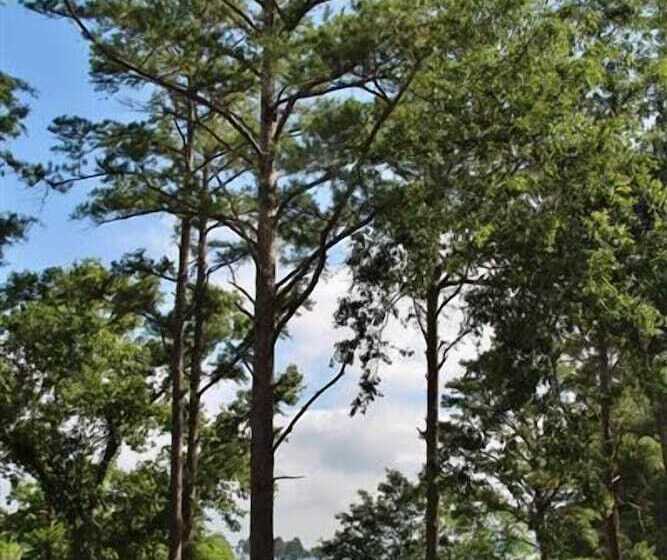 Frankston Home W/deck & Fishing On Lake Palestine!