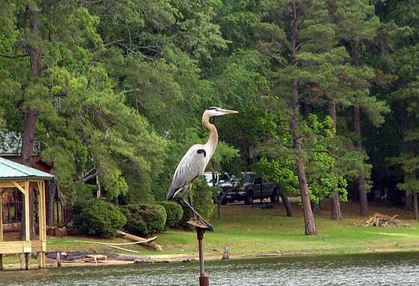 Frankston Home W/deck & Fishing On Lake Palestine!