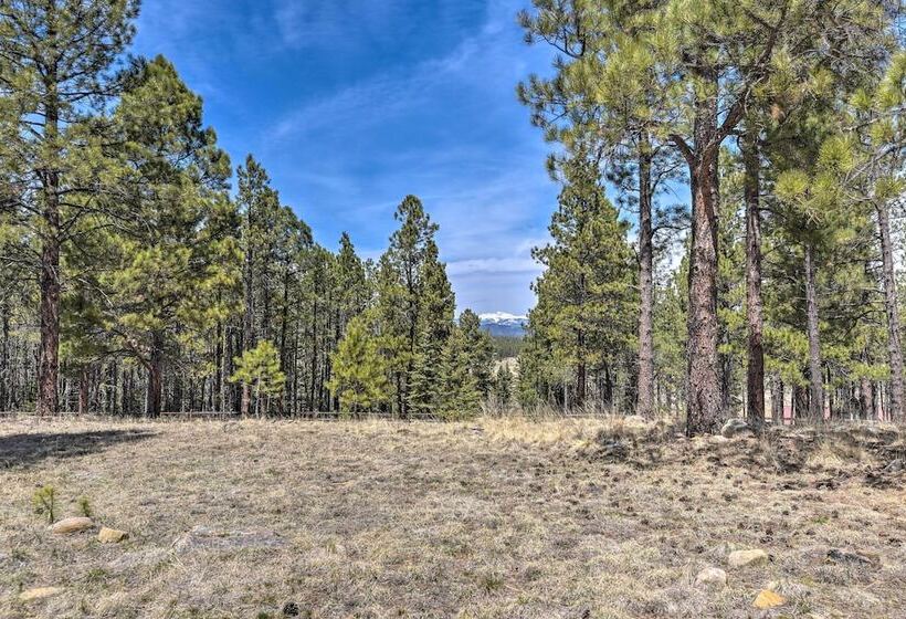 Grand Angel Fire Retreat W/ Hot Tub & Fire Pit!