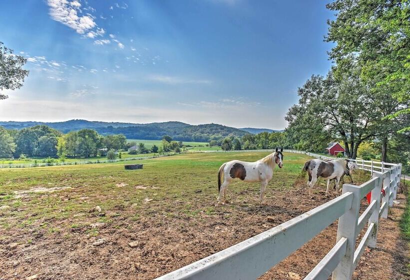 Hillside Cabin On 43 Acres W/ Private Lake & View!